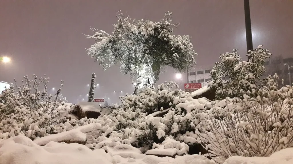 neige_a_rungis-ramuncho.blog