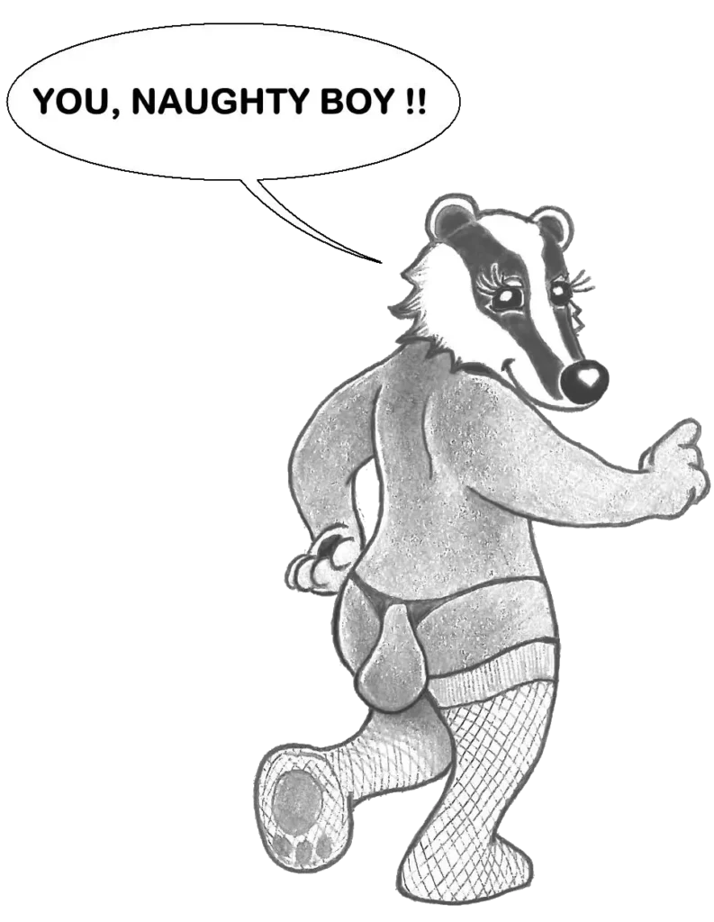 Badger_in_stockings-ramuncho.blog