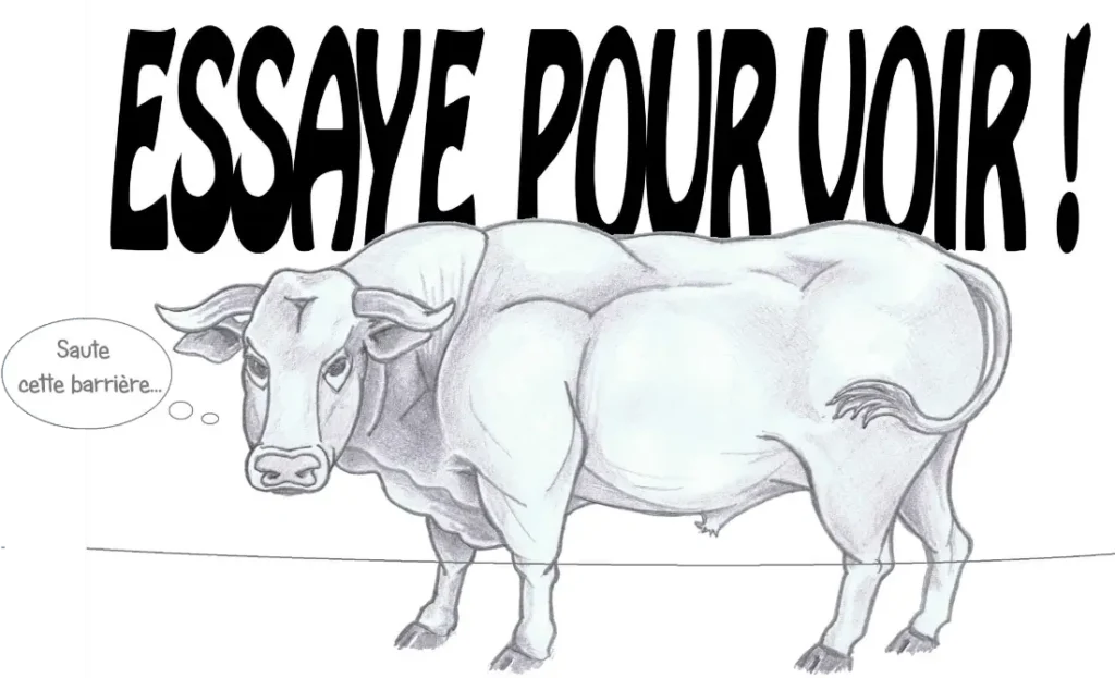 taureau-ramuncho-blog