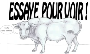 taureau-ramuncho-blog