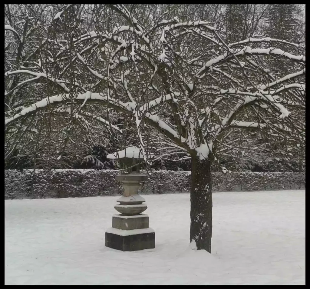 sakura-hiver-ramuncho.blog