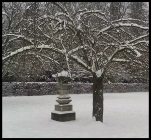 sakura-hiver-ramuncho.blog