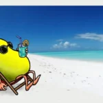 a_zest_of_holiday-ramuncho.blog