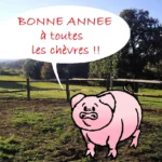 cochon_du_nouvel_an-2015-ramuncho.blog