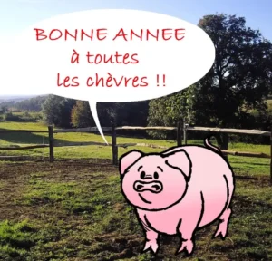 cochon_du_nouvel_an-2015-ramuncho.blog