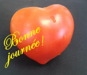 coeur-de-tomate-ramuncho-blog