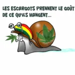 gasteropot-ramuncho.blog