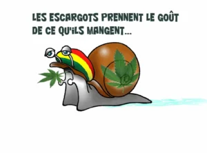 gasteropot-ramuncho.blog