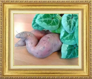 patate douce ressemblant à une personne alongée