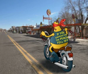 pear-biker-ramuncho-blog