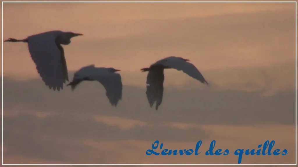 quilles-envol-ramuncho-blog