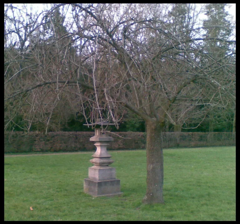 sakura-hiver-ramuncho-blog