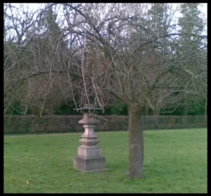 sakura-hiver-ramuncho.blog