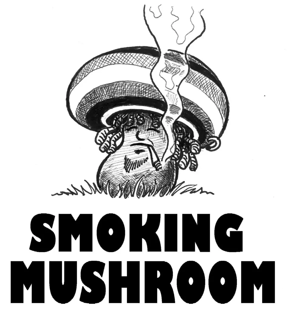 smoking_mushroom-ramuncho.blog