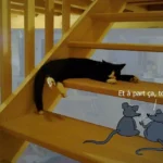 souris-chat-escalier-ramuncho.blog