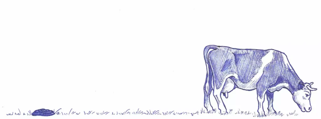 vache_transitionnelle-ramuncho.blog